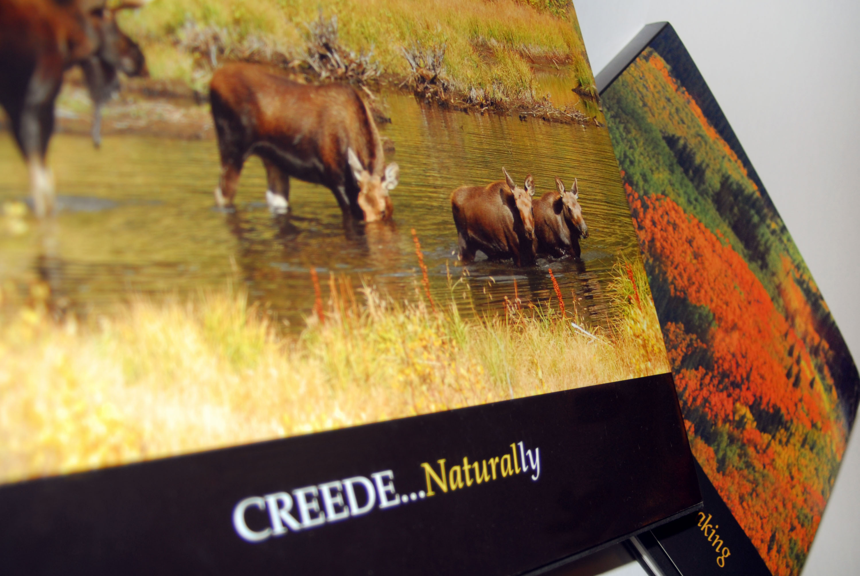 Creede Naturally Photography Book Design