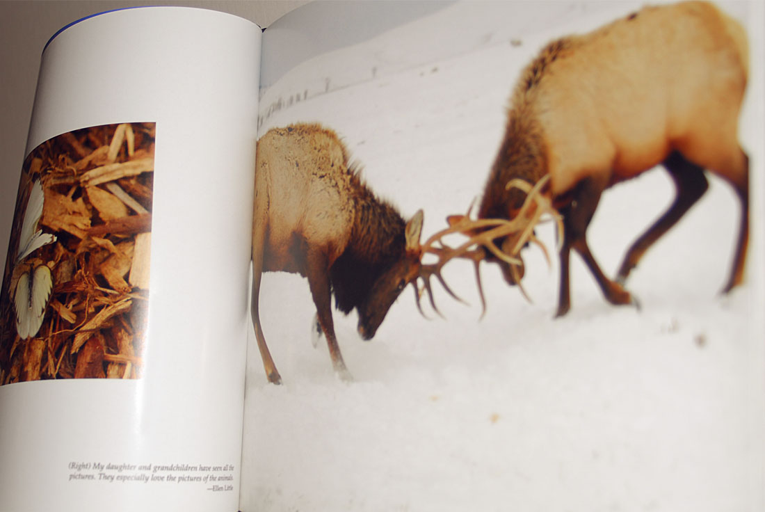 Creede Naturally Photography Book Design