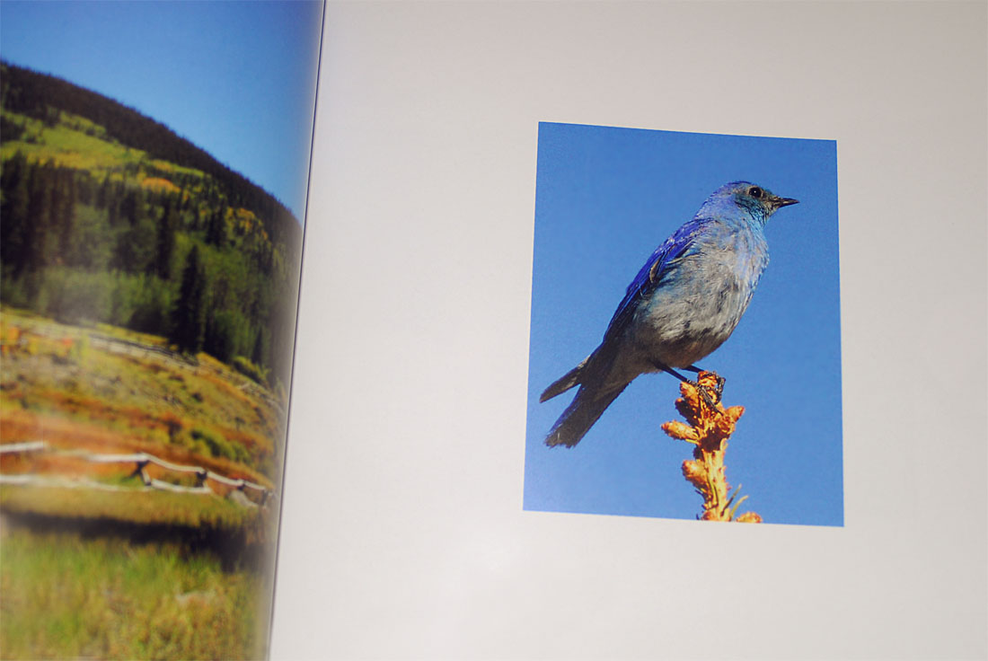 Nature Photography Book Design